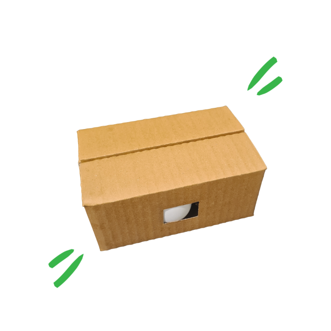 Egg Box - 6 pcs