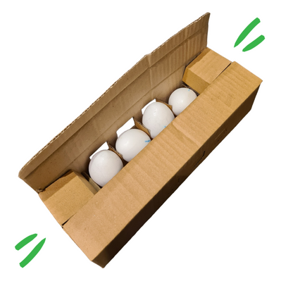 Egg Box - 12 pcs