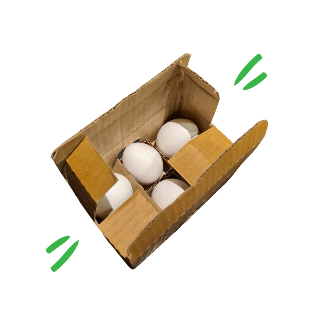 Egg Box - 6 pcs